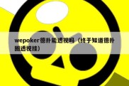 wepoker德扑能透视吗（终于知道德扑圈透视挂）