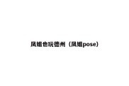 凤姐也玩德州（凤姐pose）