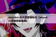 wepoker台子透视辅助挂（wepoker透视挂被骗图）