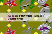 wepoker平台透视教程（wepoker透视软件下载）