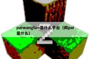 paiwangluo是什么平台（网pai是什么）